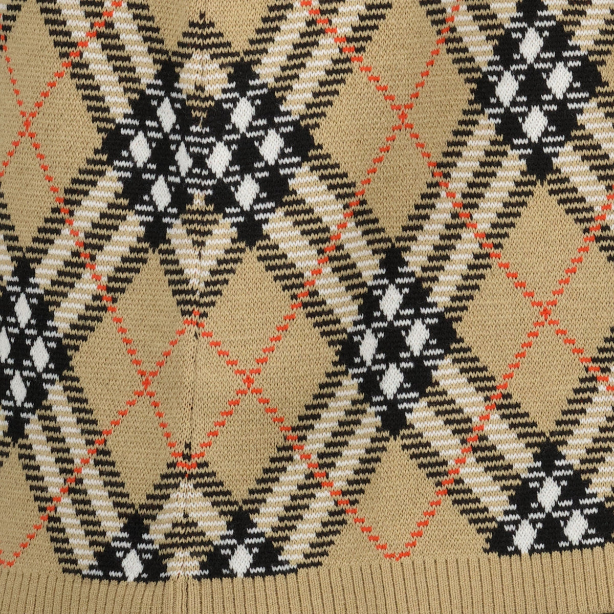 Check Plaid Skirt